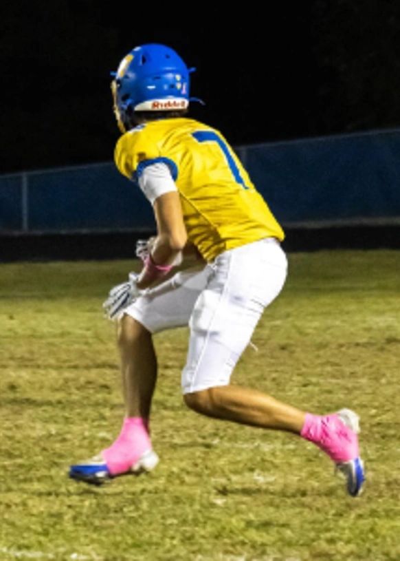D-Dawg mark four